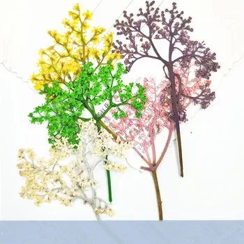  12pcs,Natura, Flori Presate, cum ar fi copaci,Flori Uscate pentru DIY invitatie de Nunta Grefa bookmack card Cadou coajă de telefon Decor
