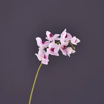  8 Capete Real Atinge De Bună Calitate Artificiale Fluture Orhidee Phalaenopsis 27