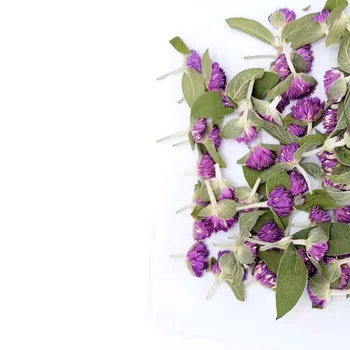  Conserve de Flori violet Gomphrena globosa pentru Meserii Marcaj Carte de a Face Săpun Manual Rășină DIY Accesorii 6 buc/sac