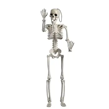  Decor de Halloween Prop 40/60cm Verticală Mare Schelet Complet de Dimensiunea Craniului Mână Viața Anatomia Corpului Model Glumă Festivalul de elemente de Recuzită de Paște