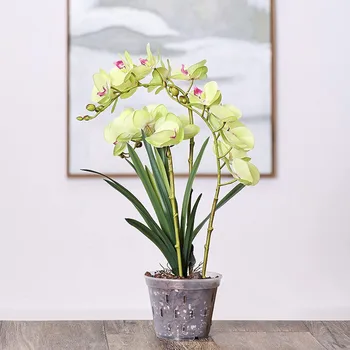  Orhidee Plantare Ghivece de Flori din Plastic Transparent Suculente Ghiveci Răsad cu Găuri Acasă Balcon Gradina Decor în Creștere în Coș