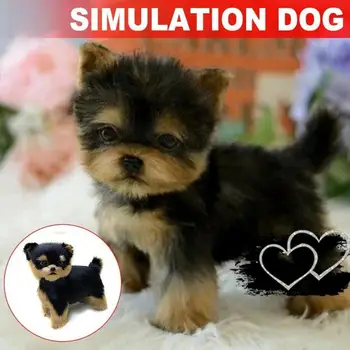  Realist Yorkie De Simulare Câine Jucărie Câine Cățeluș Realiste Umplute De Companie Jucărie De Câine De Companie Mana Hogard