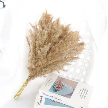  Uscate de Iarbă de Pampas Uscata Premium Buchet Mic de BRICOLAJ Reed Plante cu Natural Pampa pentru Boho Home Decor Decor de Nunta