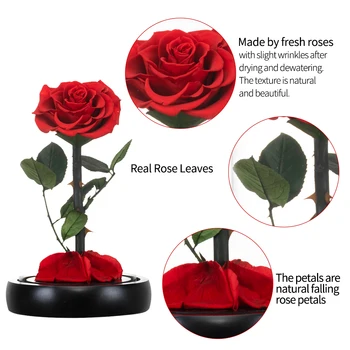  Valentine Conservate Crescut În Cupolă de Sticlă Eterna Trandafir Flori de Nunta frumoasa si ia pentru Totdeauna Dragostea Cadouri de Craciun pentru Femei